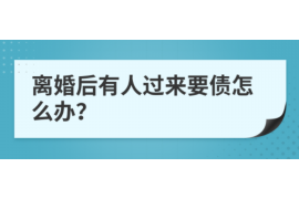 洪山为什么选择专业追讨公司来处理您的债务纠纷？